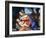 Madonna and Child, C1510-Titian (Tiziano Vecelli)-Framed Giclee Print