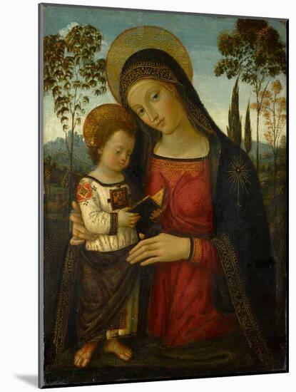 Madonna and Child, circa 1490-1495 (Tempera on Panel)-Bernardino di Betto Pinturicchio-Mounted Giclee Print