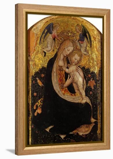 Madonna and Child Crowned by Two Angels (Madonna of the Quail)-Antonio Pisani Pisanello-Framed Premier Image Canvas