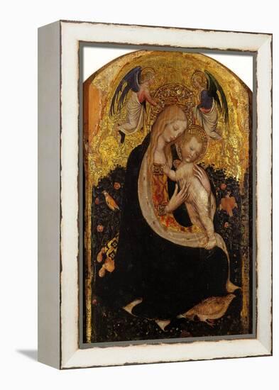 Madonna and Child Crowned by Two Angels (Madonna of the Quail)-Antonio Pisani Pisanello-Framed Premier Image Canvas
