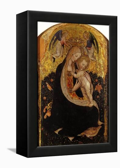 Madonna and Child Crowned by Two Angels (Madonna of the Quail)-Antonio Pisani Pisanello-Framed Premier Image Canvas