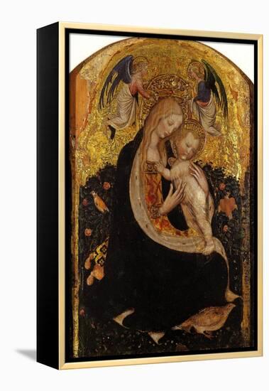 Madonna and Child Crowned by Two Angels (Madonna of the Quail)-Antonio Pisani Pisanello-Framed Premier Image Canvas