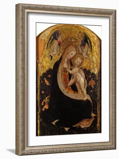 Madonna and Child Crowned by Two Angels (Madonna of the Quail)-Antonio Pisani Pisanello-Framed Giclee Print