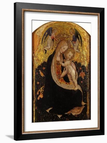 Madonna and Child Crowned by Two Angels (Madonna of the Quail)-Antonio Pisani Pisanello-Framed Giclee Print