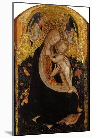 Madonna and Child Crowned by Two Angels (Madonna of the Quail)-Antonio Pisani Pisanello-Mounted Giclee Print