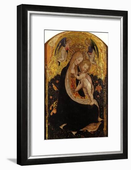 Madonna and Child Crowned by Two Angels (Madonna of the Quail)-Antonio Pisani Pisanello-Framed Giclee Print
