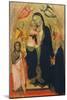 Madonna and Child Enthroned with Saints-Agnolo Gaddi-Mounted Giclee Print