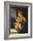 Madonna and Child (Oil on Canvas)-Guercino (1591-1666)-Framed Giclee Print