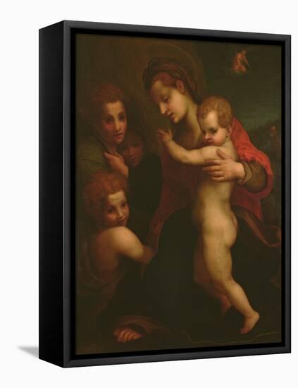 Madonna and Child, St. John and Two Angels-Andrea del Sarto-Framed Premier Image Canvas