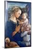 Madonna and Child with Angels, C1455-Filippino Lippi-Mounted Giclee Print