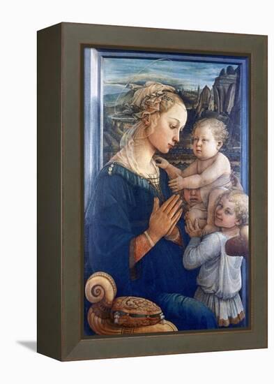 Madonna and Child with Angels, C1455-Filippino Lippi-Framed Premier Image Canvas