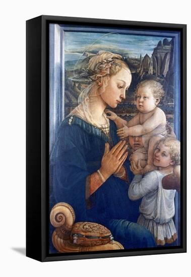 Madonna and Child with Angels, C1455-Filippino Lippi-Framed Premier Image Canvas