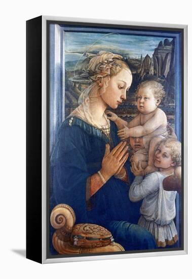 Madonna and Child with Angels, C1455-Filippino Lippi-Framed Premier Image Canvas