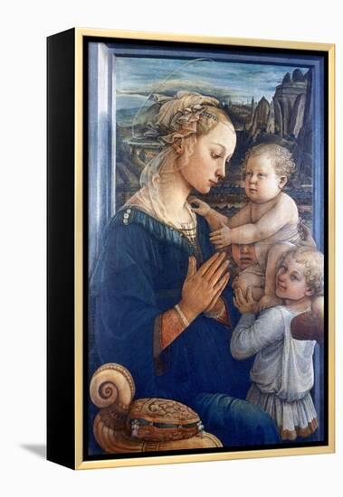 Madonna and Child with Angels, C1455-Filippino Lippi-Framed Premier Image Canvas