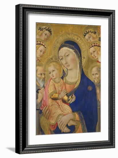 Madonna and Child with Saint Jerome, Saint Bernardino, and Angels, C.1460-70-Ansano di Pietro di Mencio Pietro-Framed Giclee Print