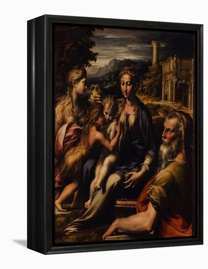 Madonna and Child with Saint (Madonna Di San Zaccari), C.1535-Parmigianino-Framed Premier Image Canvas