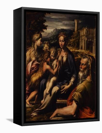 Madonna and Child with Saint (Madonna Di San Zaccari), C.1535-Parmigianino-Framed Premier Image Canvas