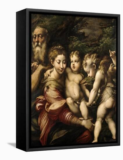 Madonna and Child with Saints, Ca. 1524-Parmigianino-Framed Premier Image Canvas