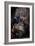 Madonna and Child with Saints Joseph-Giambattista Pittoni-Framed Giclee Print