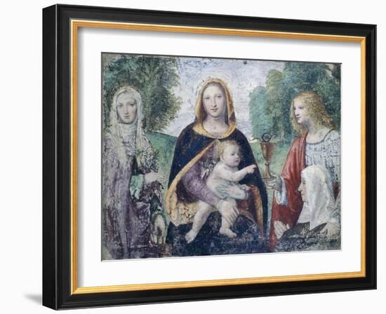 Madonna and Child with Saints-Bernardino Luini-Framed Giclee Print