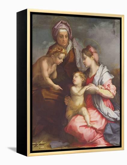 Madonna and Child with St. Elizabeth and the Infant St. John the Baptist (Panel)-Andrea del Sarto-Framed Premier Image Canvas