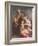 Madonna and Child with St. Elizabeth and the Infant St. John the Baptist (Panel)-Andrea del Sarto-Framed Giclee Print