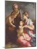 Madonna and Child with St. Elizabeth and the Infant St. John the Baptist (Panel)-Andrea del Sarto-Mounted Giclee Print