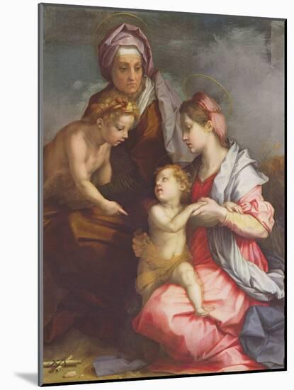 Madonna and Child with St. Elizabeth and the Infant St. John the Baptist (Panel)-Andrea del Sarto-Mounted Giclee Print