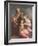Madonna and Child with St. Elizabeth and the Infant St. John the Baptist (Panel)-Andrea del Sarto-Framed Giclee Print