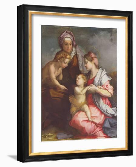 Madonna and Child with St. Elizabeth and the Infant St. John the Baptist (Panel)-Andrea del Sarto-Framed Giclee Print