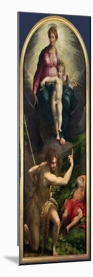 Madonna and Child with St. John and St. Jerome, 1526-27-Parmigianino-Mounted Giclee Print