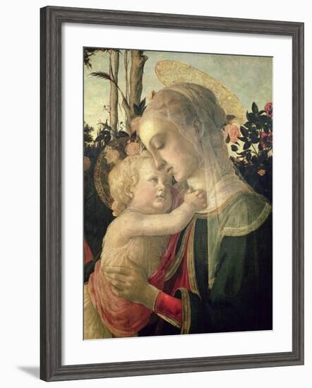 Madonna and Child with St. John the Baptist, Detail of the Madonna and Child-Sandro Botticelli-Framed Giclee Print