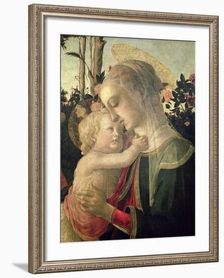 Madonna and Child with St. John the Baptist, Detail of the Madonna and Child-Sandro Botticelli-Framed Giclee Print