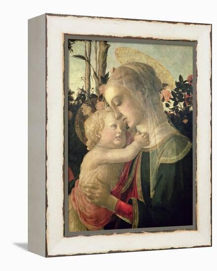 Madonna and Child with St. John the Baptist, Detail of the Madonna and Child-Sandro Botticelli-Framed Premier Image Canvas