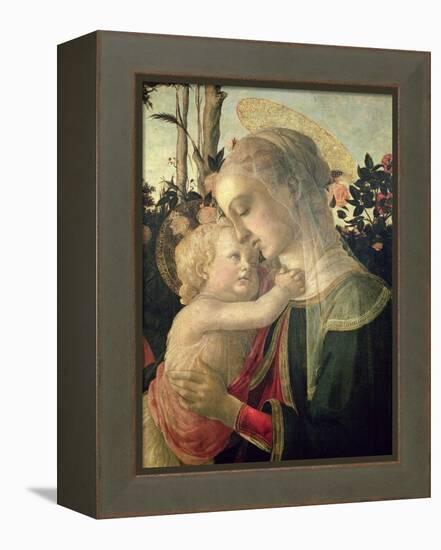 Madonna and Child with St. John the Baptist, Detail of the Madonna and Child-Sandro Botticelli-Framed Premier Image Canvas