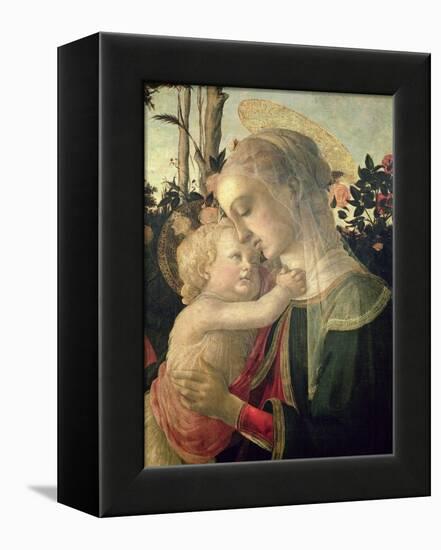 Madonna and Child with St. John the Baptist, Detail of the Madonna and Child-Sandro Botticelli-Framed Premier Image Canvas