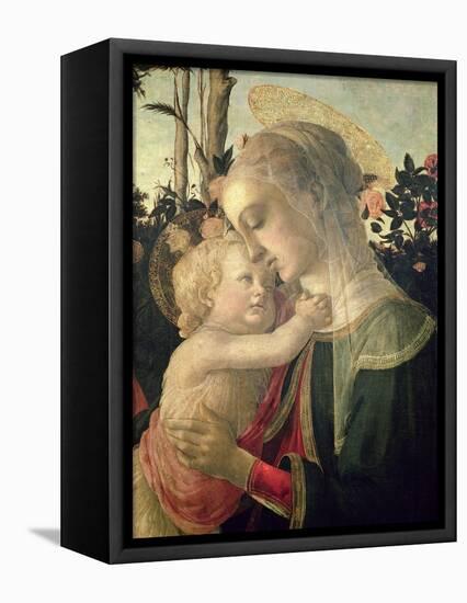 Madonna and Child with St. John the Baptist, Detail of the Madonna and Child-Sandro Botticelli-Framed Premier Image Canvas