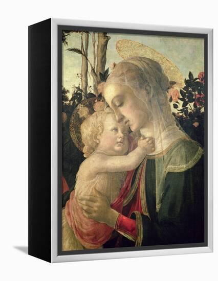 Madonna and Child with St. John the Baptist, Detail of the Madonna and Child-Sandro Botticelli-Framed Premier Image Canvas