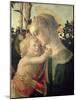 Madonna and Child with St. John the Baptist, Detail of the Madonna and Child-Sandro Botticelli-Mounted Giclee Print