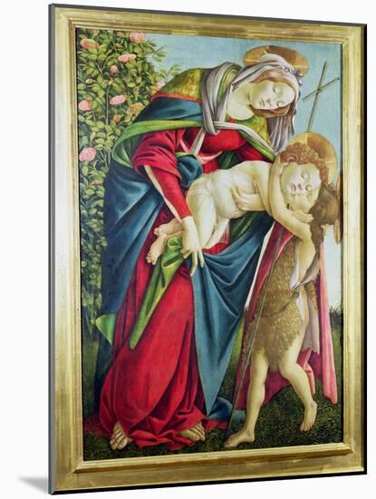 Madonna and Child with St. John the Baptist-Sandro Botticelli-Mounted Giclee Print