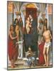 Madonna and Child with Sts John the Baptist-Monica-Mounted Giclee Print