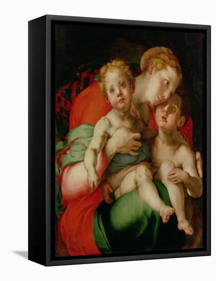 Madonna and Child with the Infant St. John the Baptist-Jacopo da Carucci Pontormo-Framed Premier Image Canvas