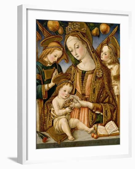 Madonna and Child with Two Angels, c.1481-82-Vittorio, Crivelli-Framed Giclee Print