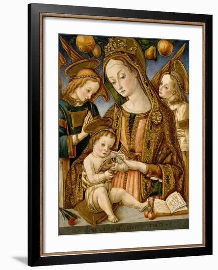 Madonna and Child with Two Angels, c.1481-82-Vittorio, Crivelli-Framed Giclee Print