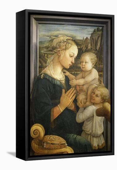 Madonna and Child with Two Angels-Fra Filippo Lippi-Framed Premier Image Canvas