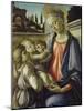 Madonna and Child-Sandro Botticelli-Mounted Giclee Print