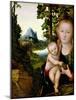 Madonna and Child-Lucas Cranach the Elder-Mounted Giclee Print