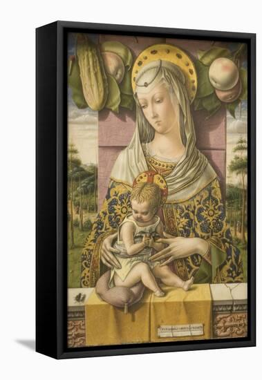 Madonna and Child-Carlo Crivelli-Framed Stretched Canvas