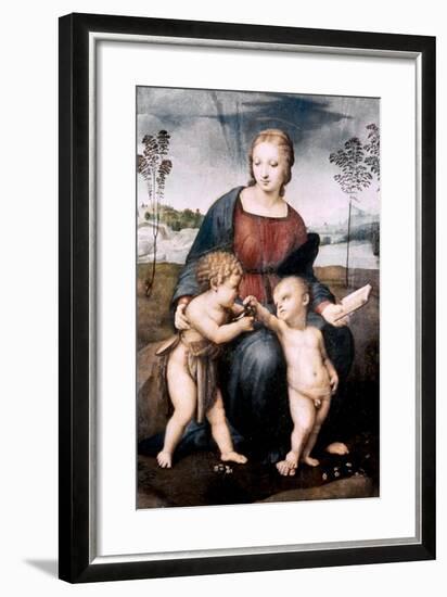 Madonna Del Cardellino, 1507-Raphael-Framed Giclee Print