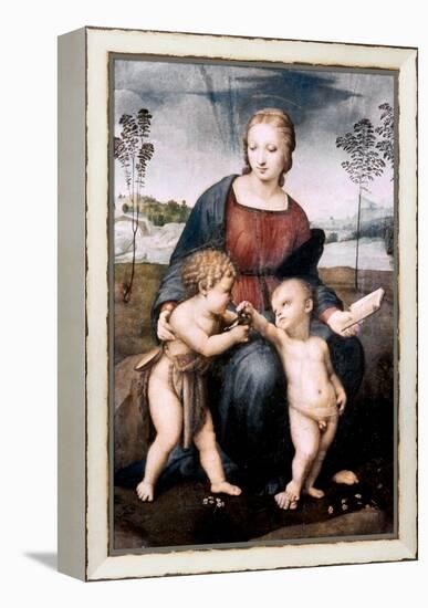 Madonna Del Cardellino, 1507-Raphael-Framed Premier Image Canvas